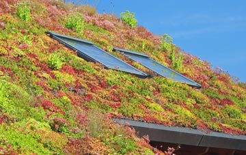 Prussia Cove living roof systems